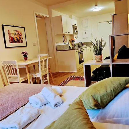 Live-inn Hotel-style 5 Apartments, 20 Mins To Centre, Gym, Reception, Free Parking, Lift, Roof Terrace & Game Prague